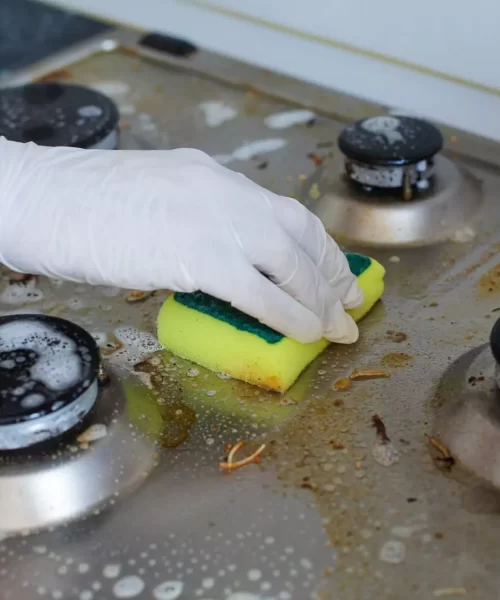 rengora-spishall.webp rengora-spishall.webp